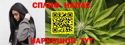 индика Бийск