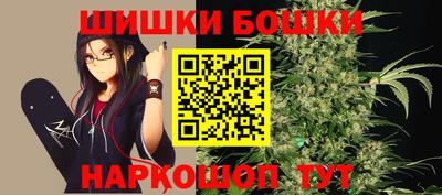 индика Бийск