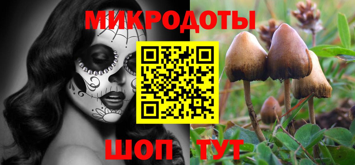 Псилоцибиновые грибы Psilocybine cubensis Каменка