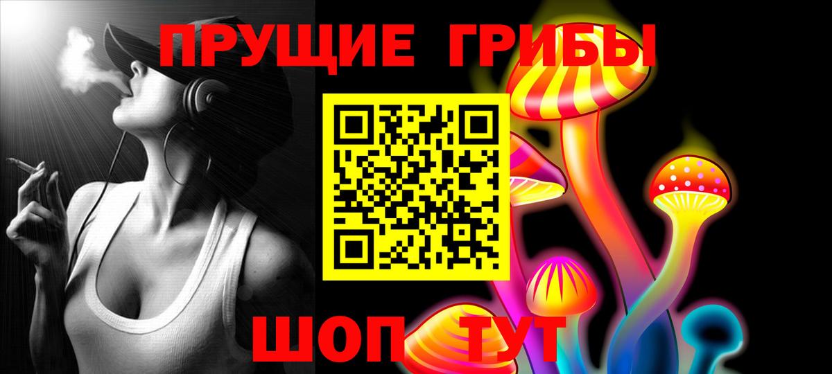 Каменка  Псилоцибиновые грибы мухоморы  Вход с VPN 